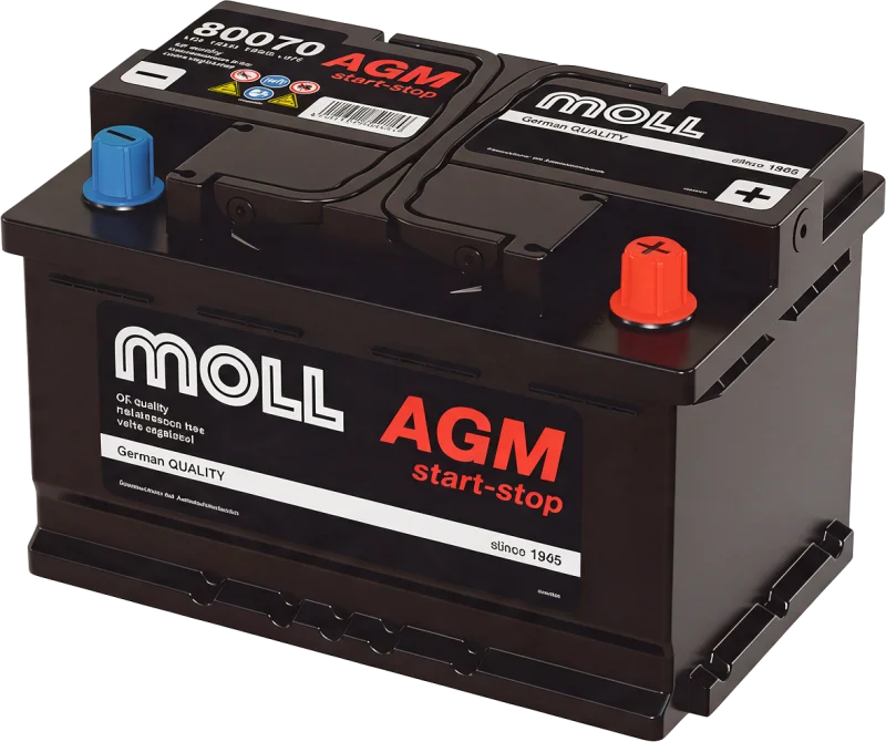 MOLL AGM
